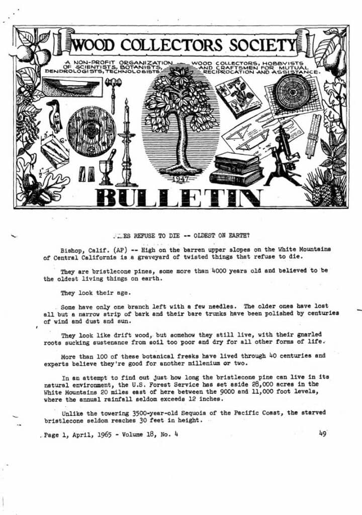 Issue cover