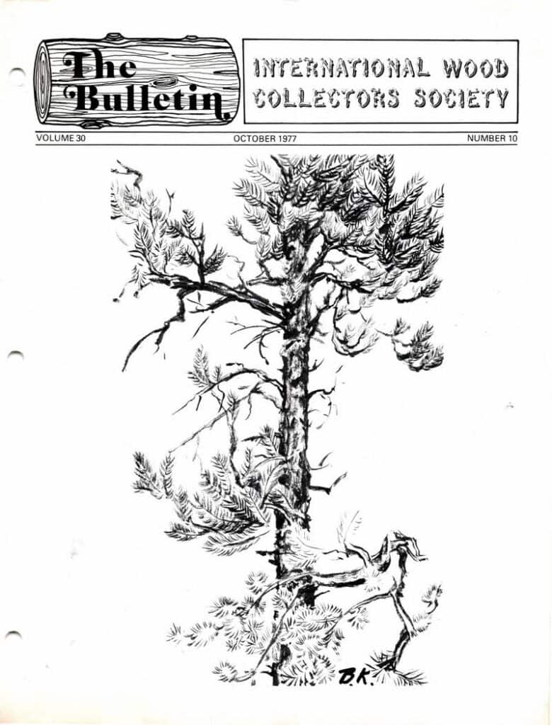 Issue cover