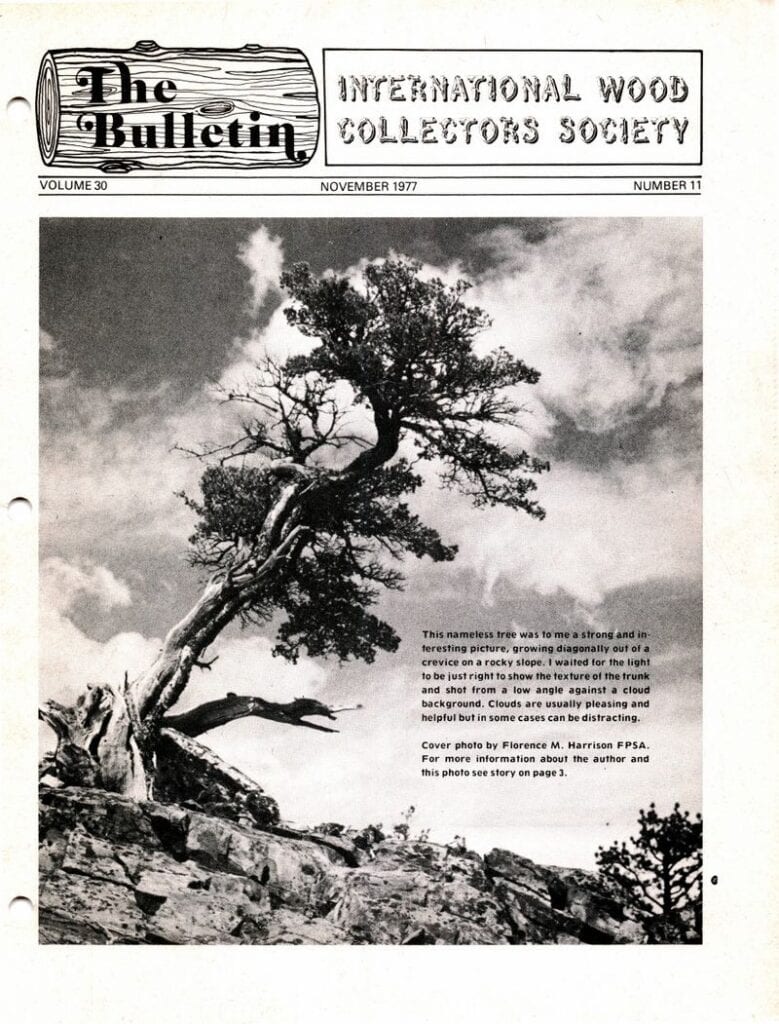 Issue cover