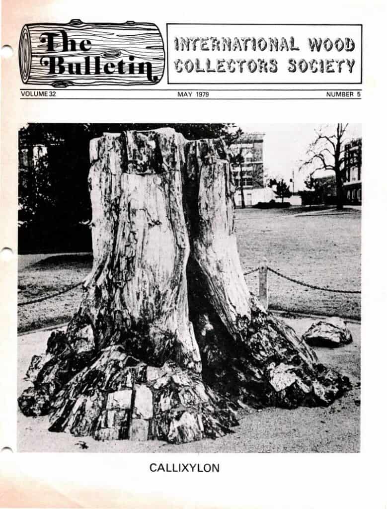 Issue cover