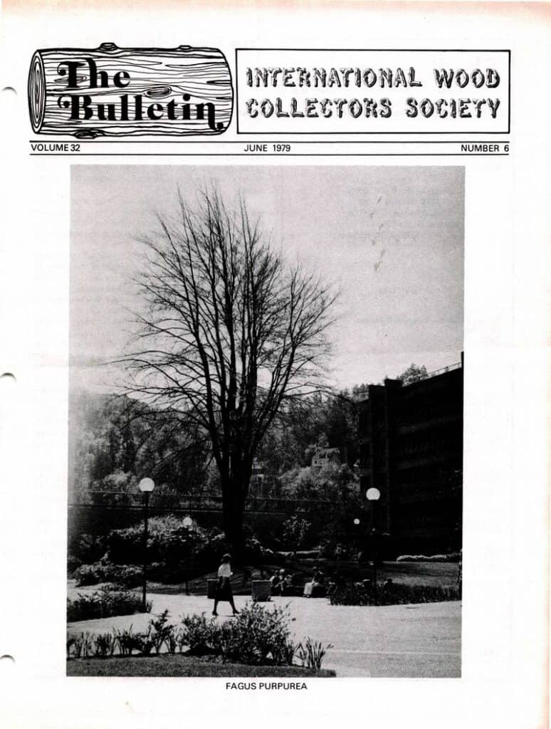 Issue cover