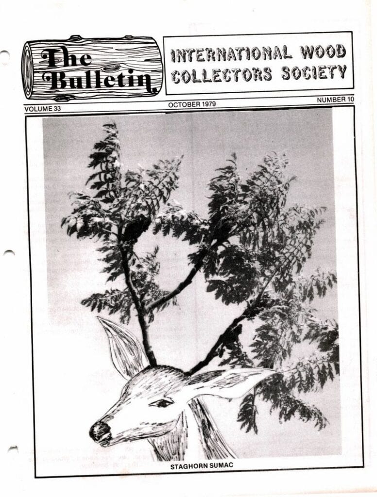 Issue cover