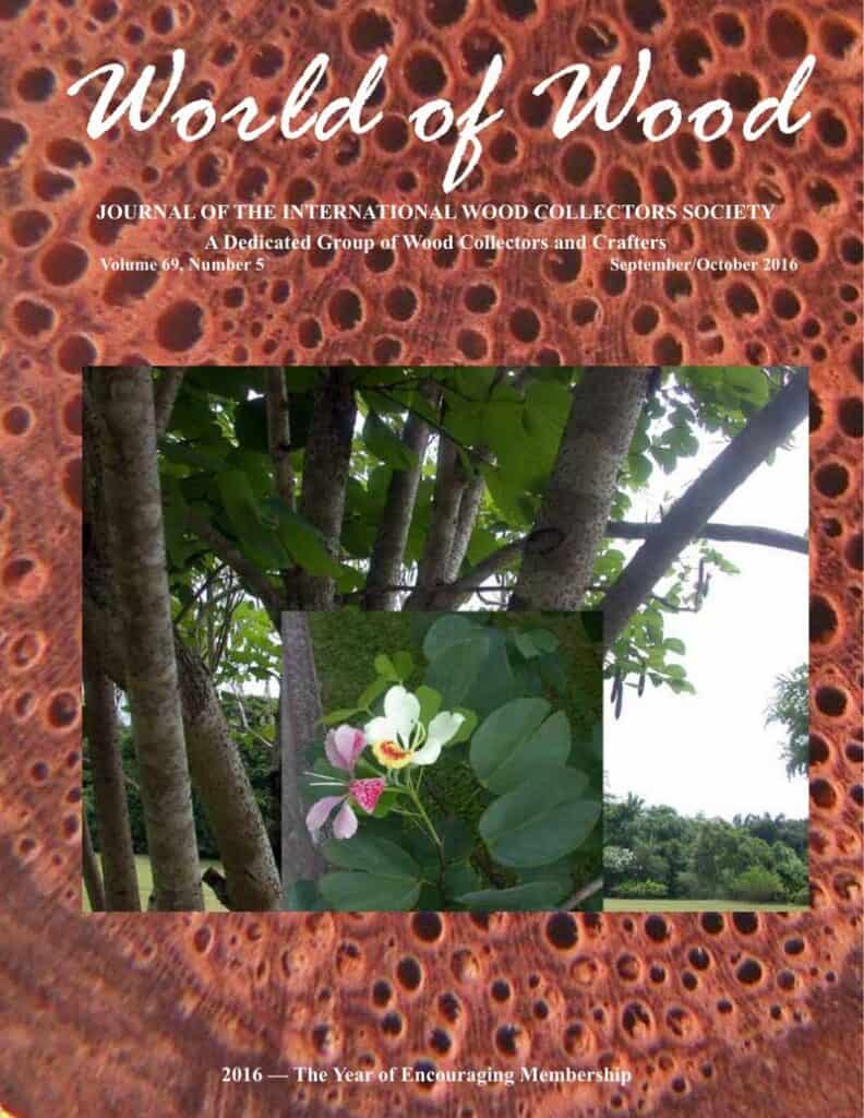 Issue cover