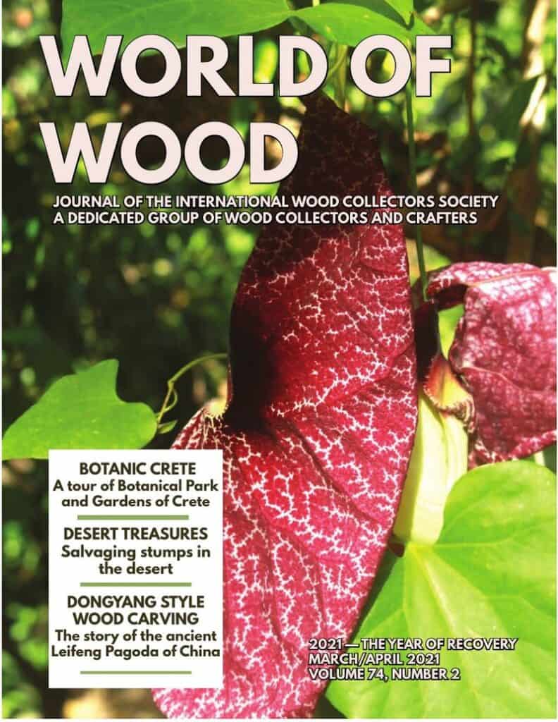 Issue cover