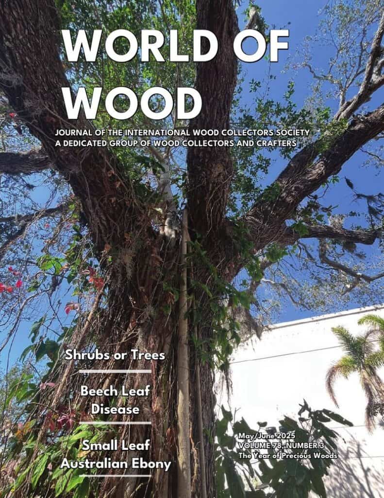 Issue cover