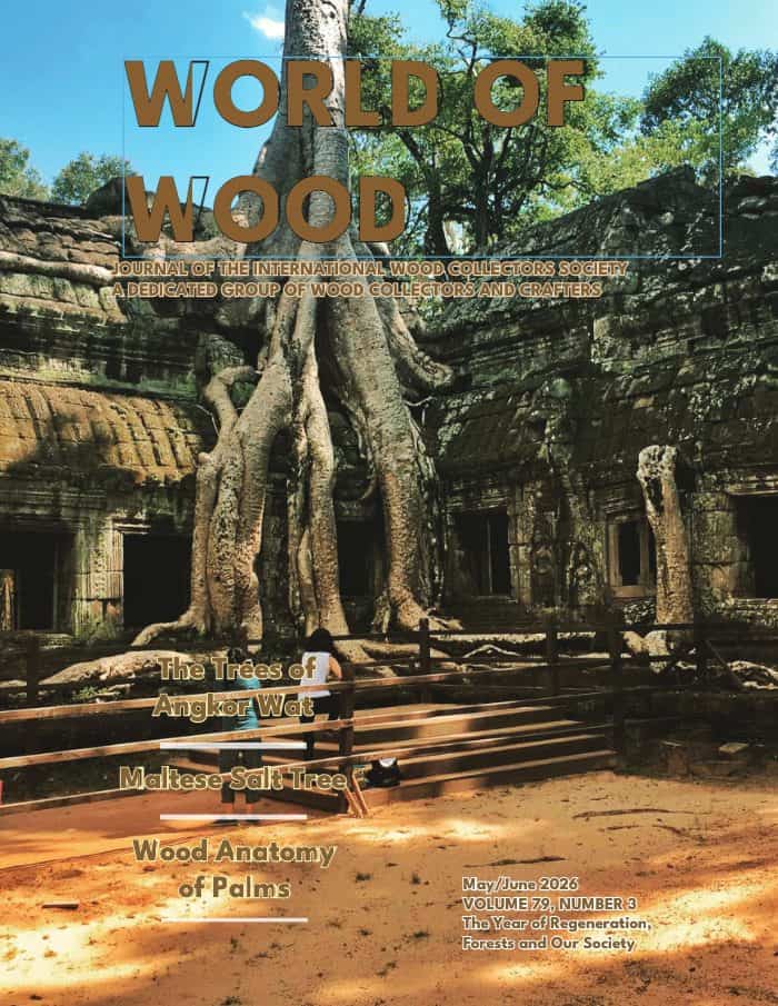 Issue cover